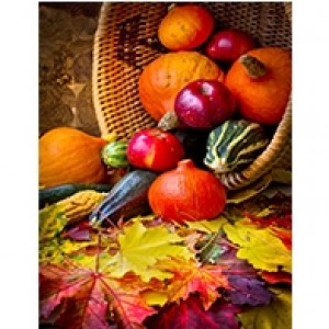 Fall Harvest  Perforated Bookmarks