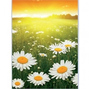 Field of Daisies Perforated Bookmarks