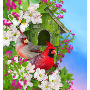 Summer Cardinals
