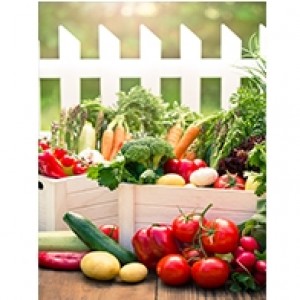 Vegetable Gardener Perforated Bookmarks